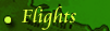 Flights